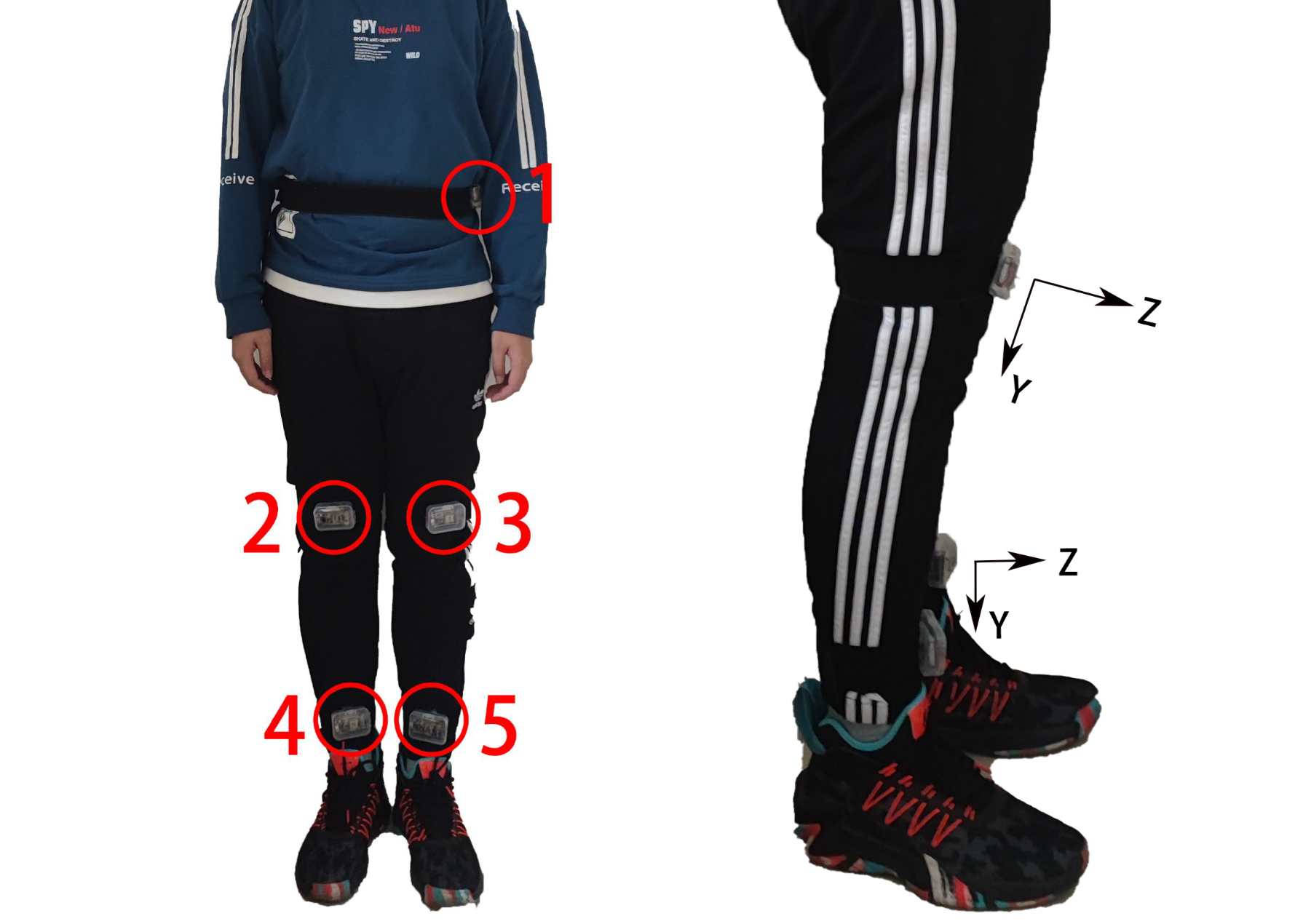 Analysis of Human Motion Data